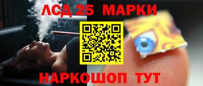 гидра Будённовск