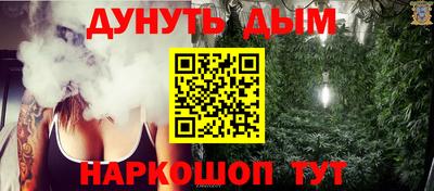 гидра Будённовск