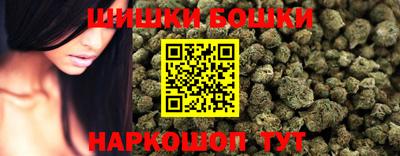 гидра Будённовск