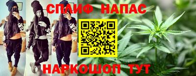 гидра Будённовск