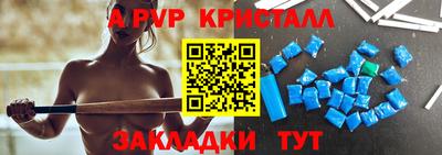 гидра Будённовск