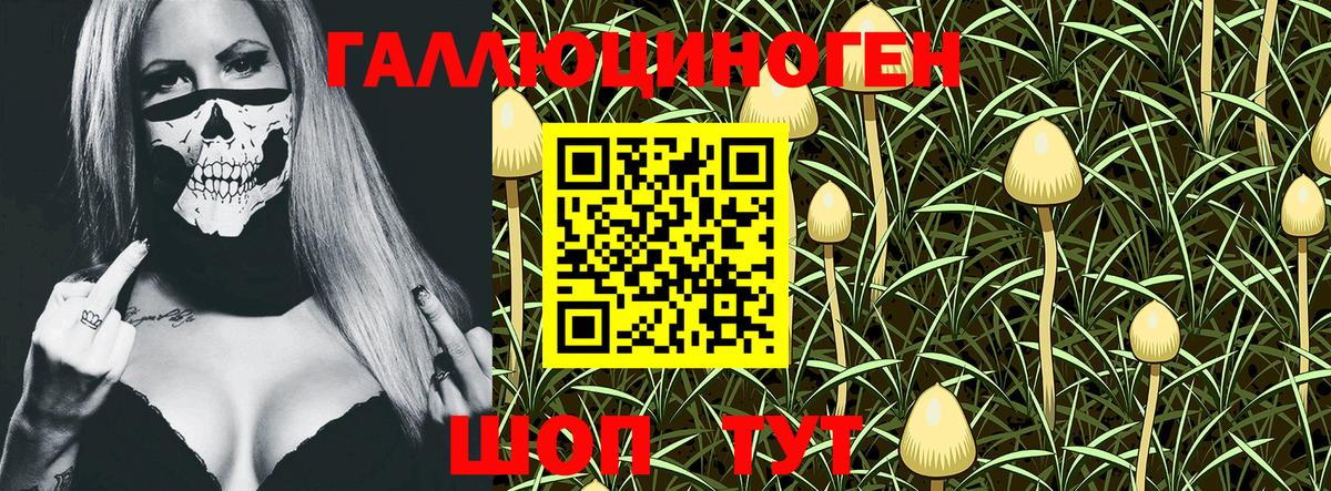 Пушкино  Галлюциногенные грибы Magic Shrooms  Галлюциногенные грибы Magic Shrooms  наркошоп  Вход с VPN 
